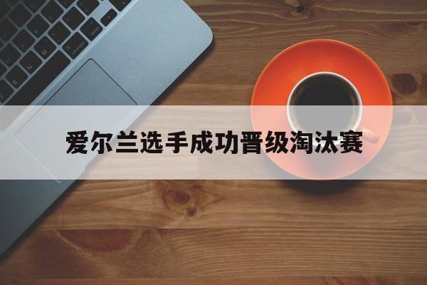 爱尔兰选手成功晋级淘汰赛